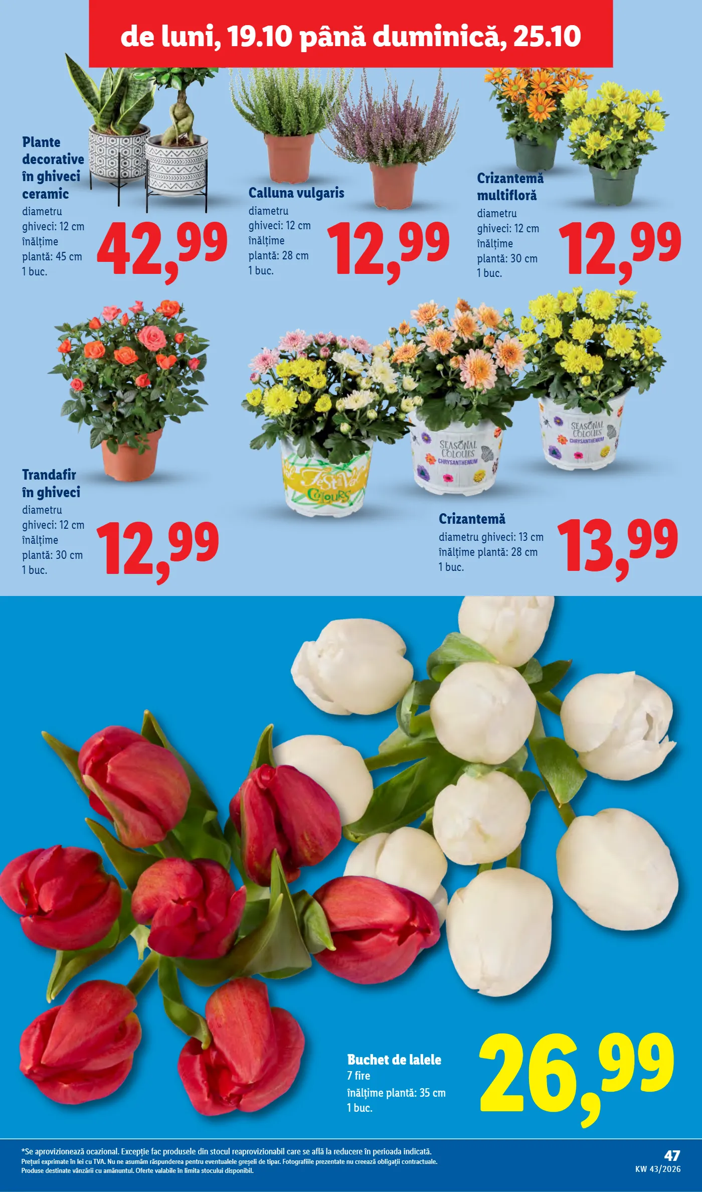 Catalog Lidl, pagina 47 din 88