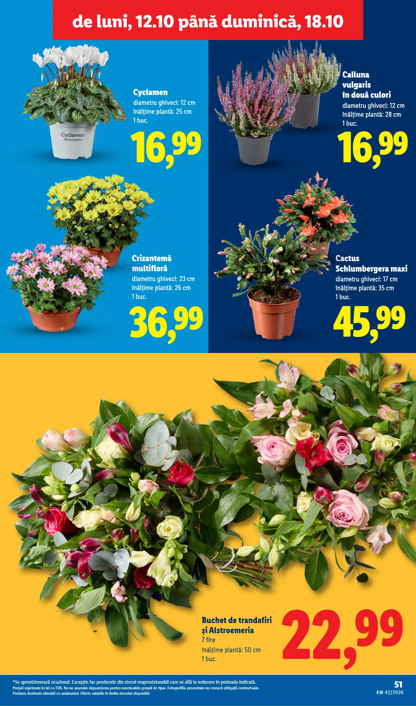 Catalog Lidl, pagina 51 din 88