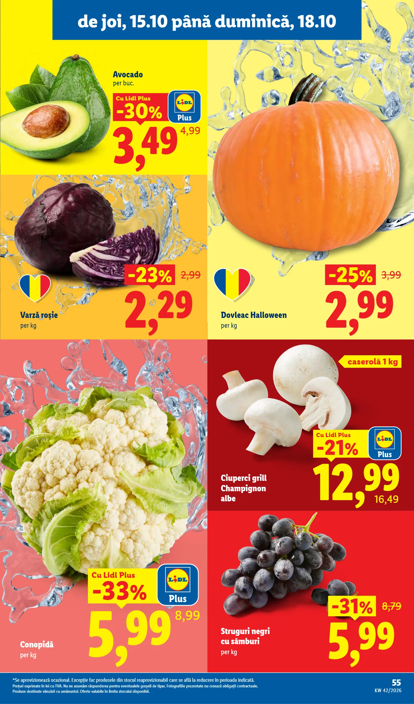 Catalog Lidl, pagina 55 din 88