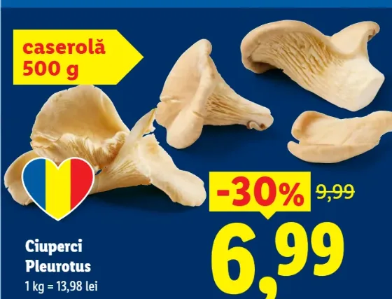 Ciuperci Pleurotus